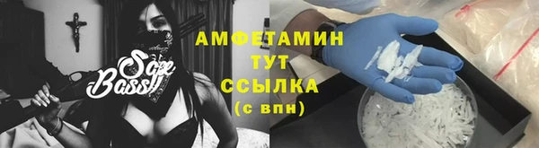 шишки Алексин