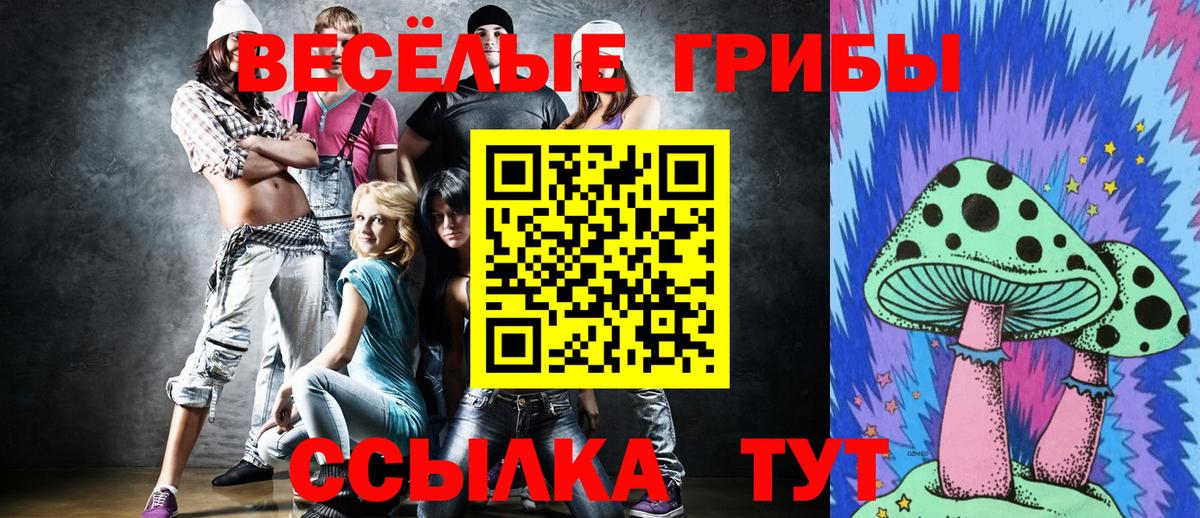 Псилоцибиновые грибы Psilocybine cubensis Омск
